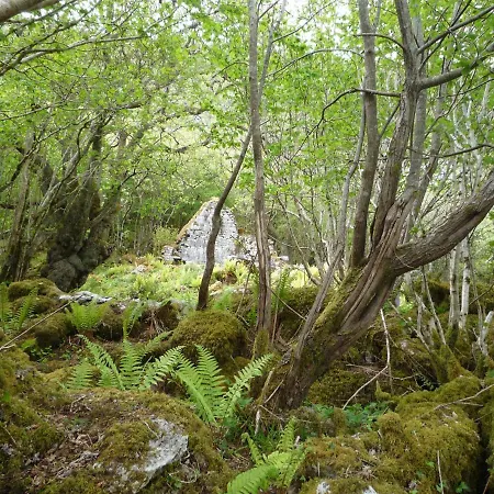 No 2 Floor By Trident Homes *