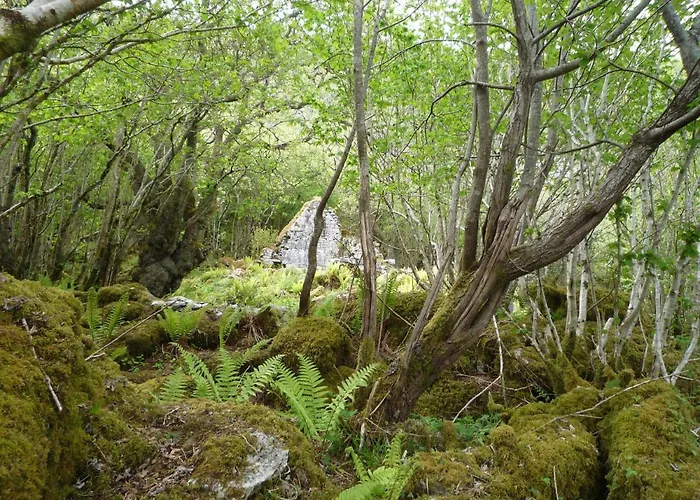 No 2 Floor By Trident Homes *